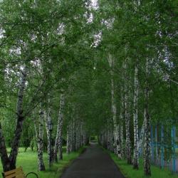 фото 20 Притомье