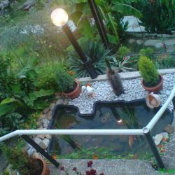 Фото Отель Эрика