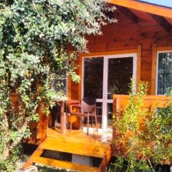 Фото Отель Гранатовый дворик (домики)