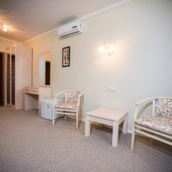 Номер люкс с 1 двуспальной кроватью