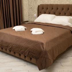 Фото Отель Аделина