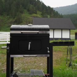 Фото Отель Альпинс residence