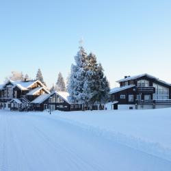 Фото Отель TSELEEVO CLUB & RESORT (Целеево Клуб & Резорт) (бывш. Целеево Гольф и Поло Клуб)