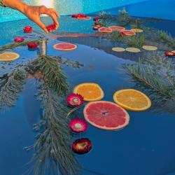 Фото Отель Strawberry Glade (Строберри Глэйд)