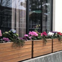 фото 38 Вилла House (Хаус) 3Б