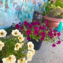 Фото Отель Родное гнездо