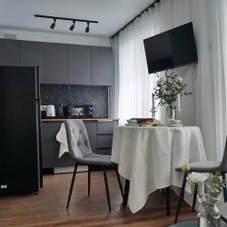 Фото Апартаменты на проспекте Красной Армии 206