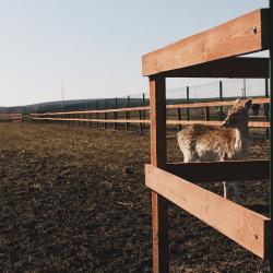 Фото Отель Riviera Wellness Resort (Ривьера Велнесс Резорт)