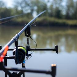 Фото Отель Усадьба Фамилия