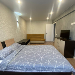 1-комнатные апартаменты стандарт с диваном