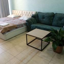 1-комнатные апартаменты студия 1.3