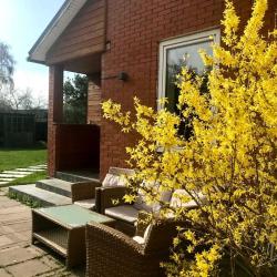 Фото Отель Дом в СНТ Ивушка 216