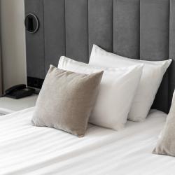 New Джуниор сюит