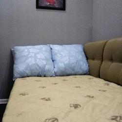 Фото Апартаменты на переулке Трудолюбия