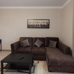 Апартаменты студия с диваном-кроватью