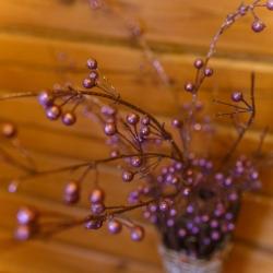 Фото Отель ский Медведь