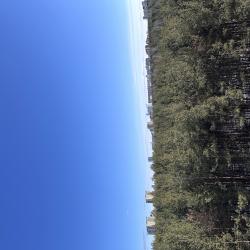 Апартаменты стандарт Апартаменты АрМериЛиз на Гатчинской 18