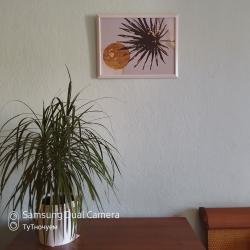 Фото Апартаменты на улице Братьев Кашириных