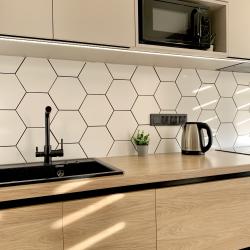 4-местные 2-комнатные апартаменты улучшенные улица Революционная 101Д