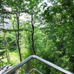 Фото Отель Town Park (Таун парк)