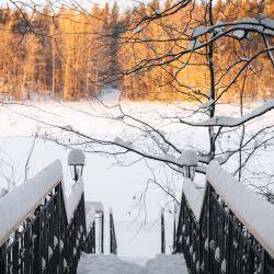 Апартаменты 205