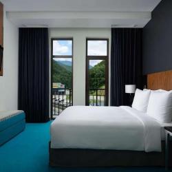 фото 43 Radisson Rosa Khutor ( Рэдиссон Роза Хутор )