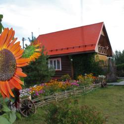 Фото Отель Подсолнух
