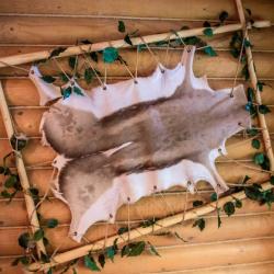 Коттедж Генеральский с 3 двуспальными кроватями