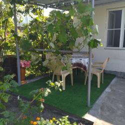 Фото Отель Дом около парка