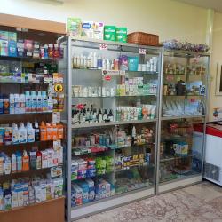 Фото Отель Дивный