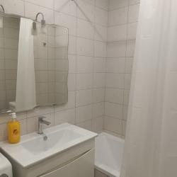 Фото Апартаменты на улице Большая Московская 132 к2