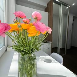 2-местные 1-комнатные апартаменты студия 18