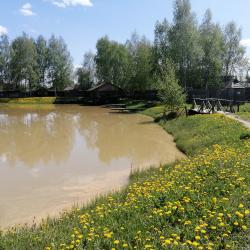 Фото Отель Гостевой дом Окулова Заимка