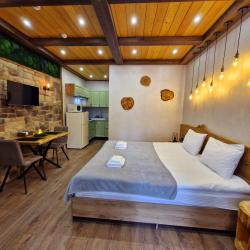 2-местный номер студия