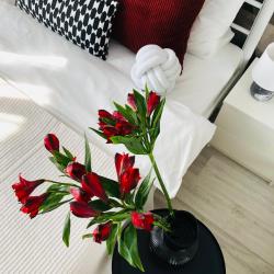 1-комнатные апартаменты стандарт