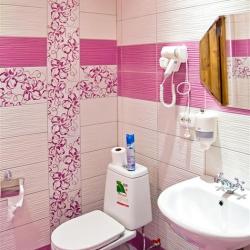 Фото Отель Большая Медведица