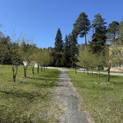 Фото Отель Энергетик