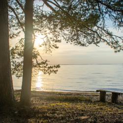 Фото Отель Вилла Ранду