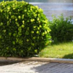 Фото Отель Orient Star Samarkand (Ориент Стар )