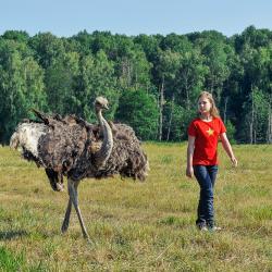 Фото Отель Лесное