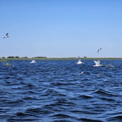 Фото Отель Каспийский Лотос