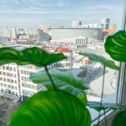 Фото Алеся (Апартаменты)