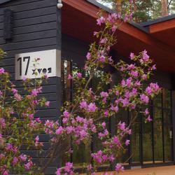 Фото Отель Хвоя в горах