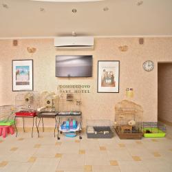 Фото De'Lore Park Hotel Domodedovo (Делор Парк Отель Домодедово)