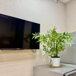 Фото Отель SyncotelHome Синко