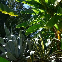 Романов — fcc7dfea6eed62685b07247b2796f6a0