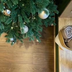 Фото Отель Barney’s House (Барнис Хаус)