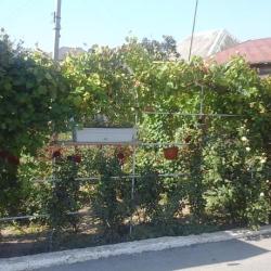 Фото Отель Надежда