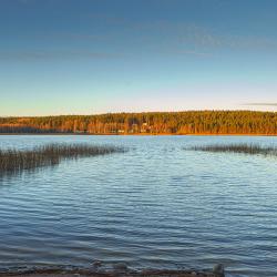 Фото Отель White Resort (Вайт Резорт) Поляны - Карелия