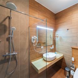 Номер стандарт бизнес #208